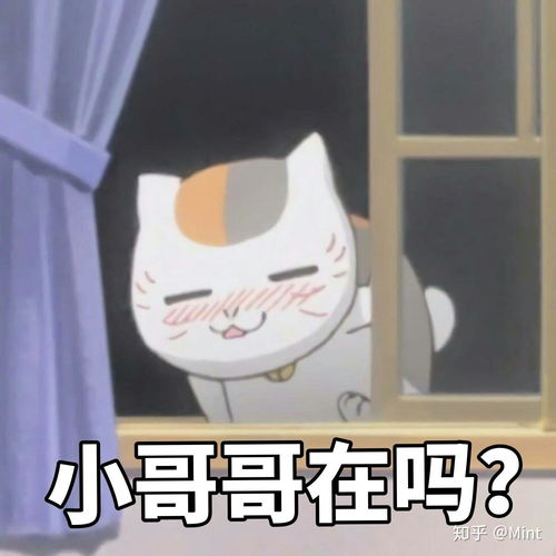 有没有这种动漫图片的表情包