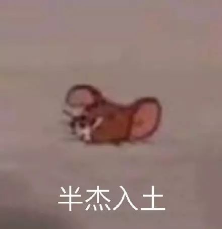 杰瑞鼠可爱表情包