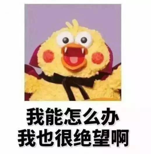 央视曝光境外的留学生代购以正品名义售假,涉案金额高达2亿元附如何识别真假代购