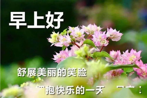 早上好问候美图,早安问候语句衷心祝福