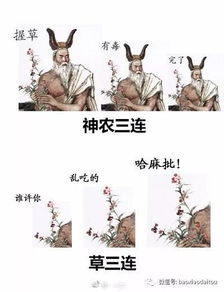 我脾气不好成绩不好气质不好性格不好长相不好,唯一值得骄傲的就是消化好