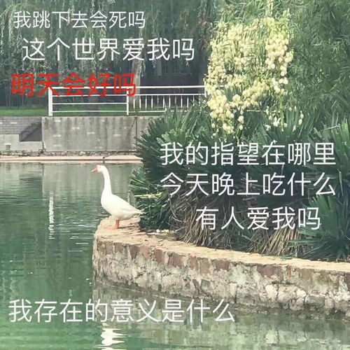简单表情包图片开心笑话