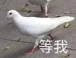 一不小心就...鸽了...丨暑期晨读vol.19