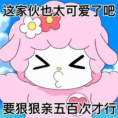 我的收藏
