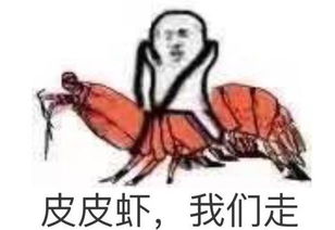 皮皮虾我们走是什么梗为什么这么火网友玩疯新一轮表情包