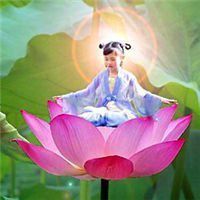 漂亮的莲花微信头像佛教微信头像图片大全