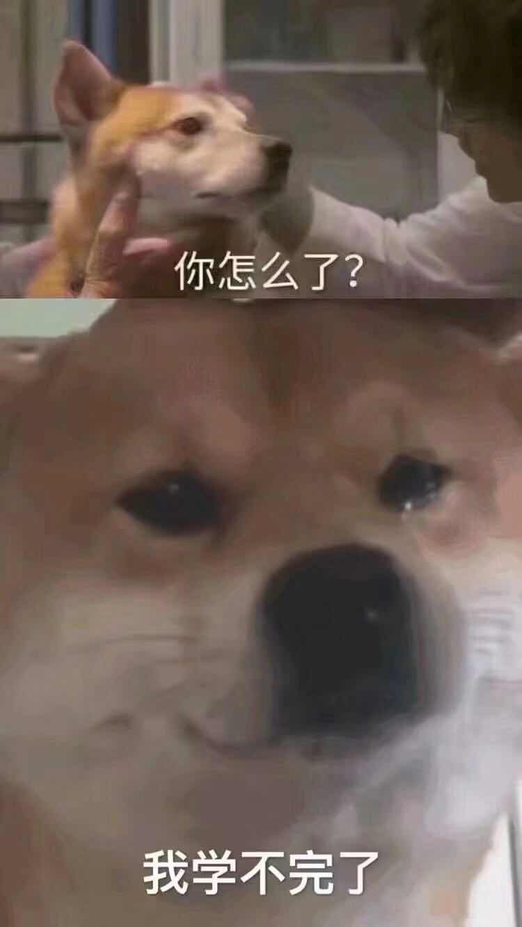 收红包表情包太客气了表情