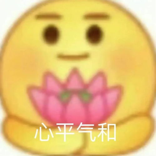 聊天表情包我太难了小苦瓜