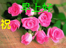 早安的微信表情包动图问候语