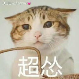 初次见面