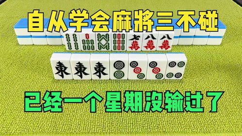 自从学会麻将三不碰,已经一个星期没有输过了