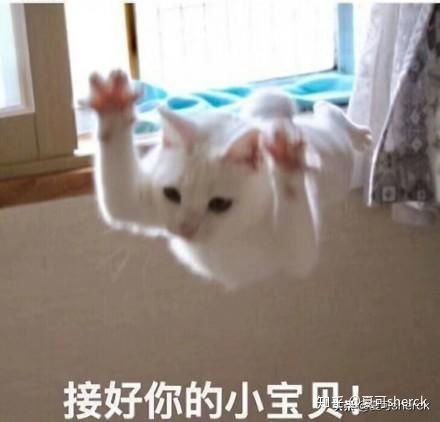 起床了宝贝带字表情包段子