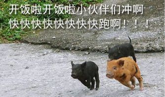 广电小伙伴们,29号干什么老铁给你安排的明白滴