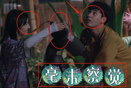 张子枫和客人看月亮,镜头扫到两人的小动作,我好想磕这对cp