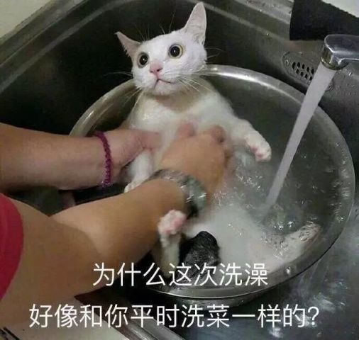 偷看你洗澡表情包前后