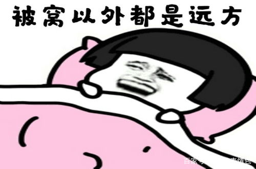 好冷的搞笑动图表情包16图
