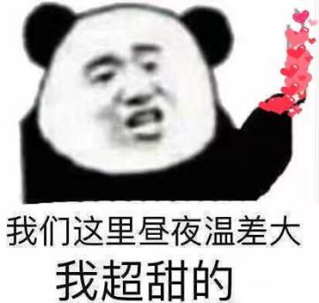 借钱系列表情包武功