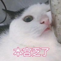 猫咪撒娇表情包微信头像图片大全