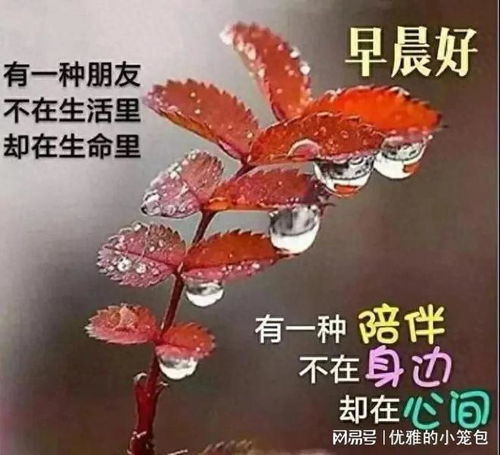 20230922星期五秋日清晨早上好动画表情美女图片带祝福语