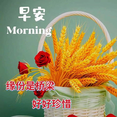 2024年6月21日星期五非常漂亮夏日早上好问候动态表情图片大全最美早安问候祝福语图片
