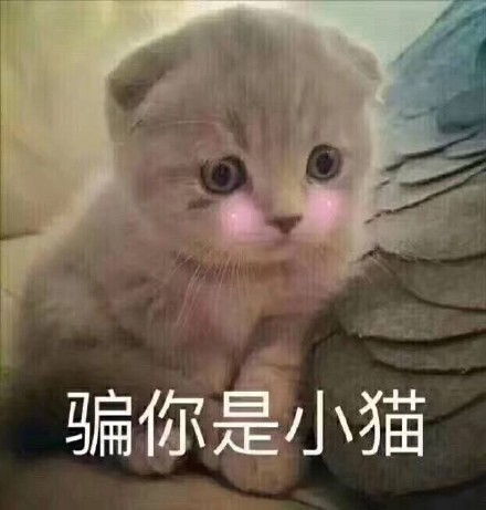 说你呢图片表情包熊猫