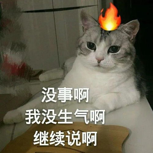 你不是没能力,而是不够狠心
