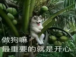 我拥有一个失落帝国