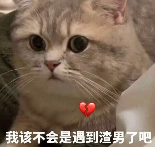 电电鼠表情包手机没电
