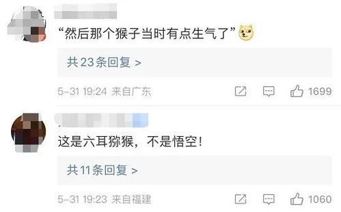 你这泼猴