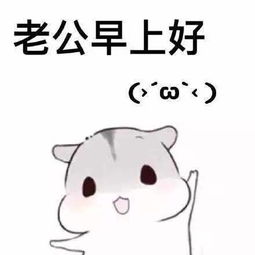 叫老公起床的表情包老公