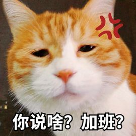 今日份的小仙女表情包来了哟