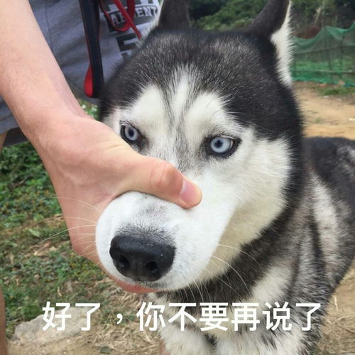 减肥