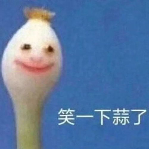 找我聊天是假的吧,想偷我表情包到是真的