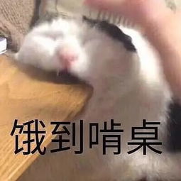 表情包多的同学,人缘总不会太差太准了