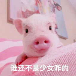 小伙子为了穿上喜欢的裙子狂减几十斤我一女的都没这毅力