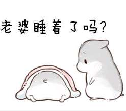 抖音哄老婆专用表情包哪里有老婆永远是对的表情包分享
