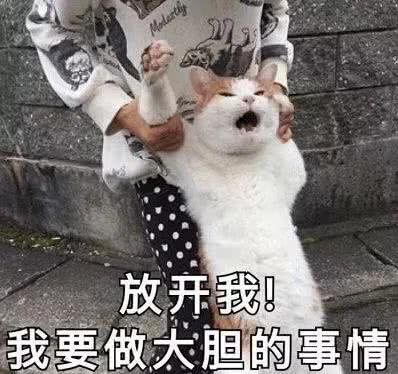 旅游碰到一个男孩子,以为是富二代,结果经常找我借钱哈哈哈