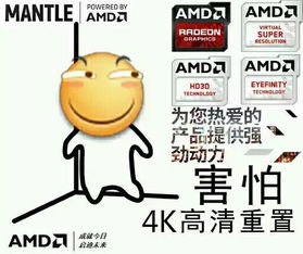 网友脑洞无限大害怕高清重制谜火爆游戏硬件游侠网