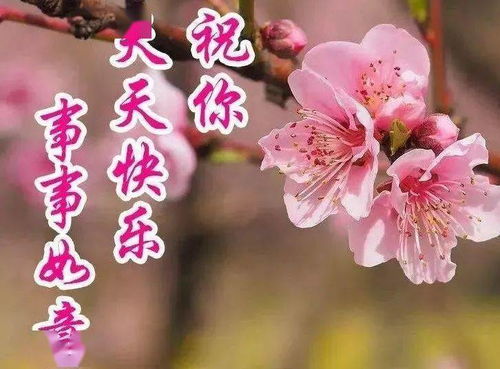 中老年表情包早上好,平平安安过日子,简简单单才是爱