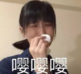 探秘丨为何自驾游车主与藏羚羊拍照竟被罚款10万元