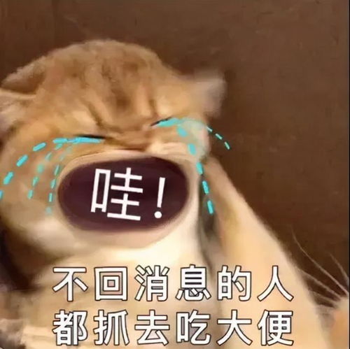 起床了小宝贝表情包回复
