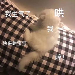 撒娇专用表情包咬你,大坏蛋