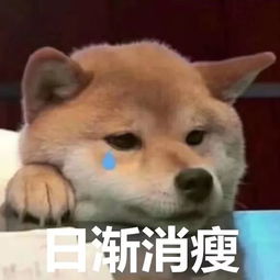 说你呢图片表情包梅花桩