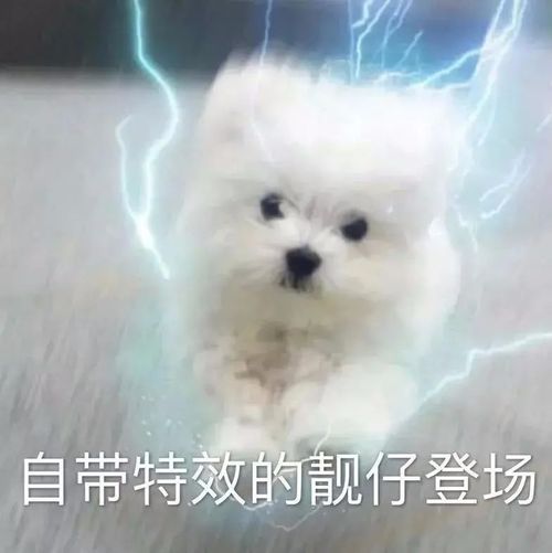 表情包想你了,宝