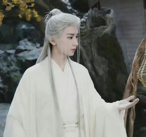 成毅第3次古装白发造型来袭,一次比一次虐,王权富贵白发好惊艳