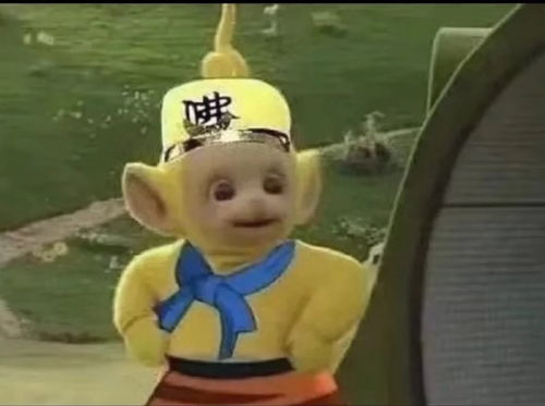 网易实习生海淀租房求一个邻居