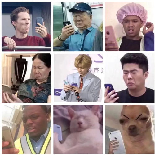 国产剧cp大赏斛珠虐恋情深,夜色属于成年人桃叨叨reaction03