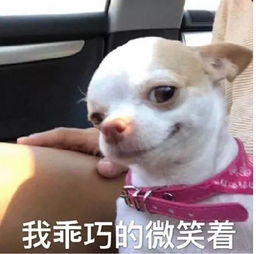 拍大尺度照片还装清纯,绿了男友还能获得真爱说一说樱桃的真面目