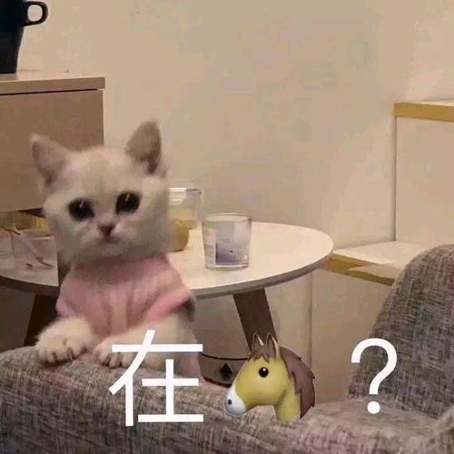 有哪些适合聊天时开头的表情包