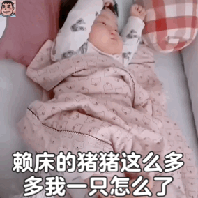 表情包赖床的猪猪那么多多我一只怎么了